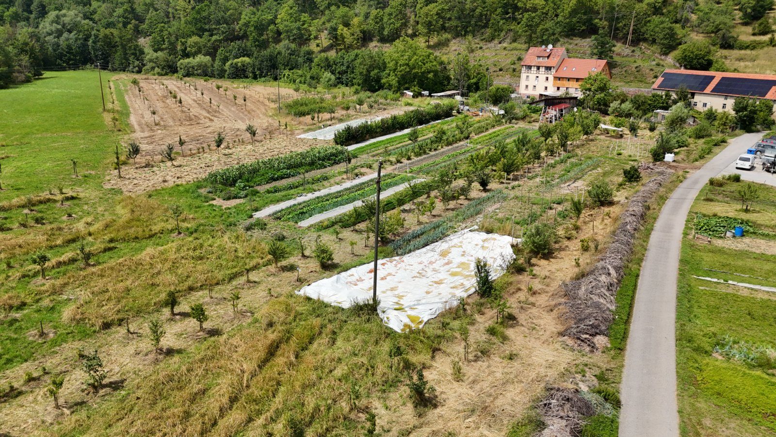 Unser Agroforst