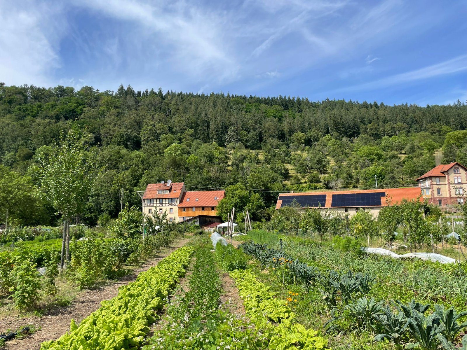Niklashausen